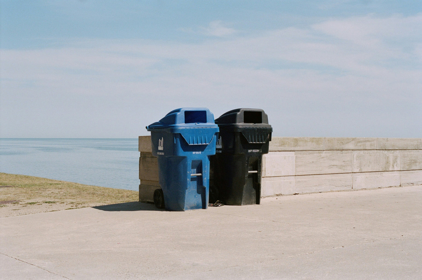 Smart Bin Compacts Trash for Space